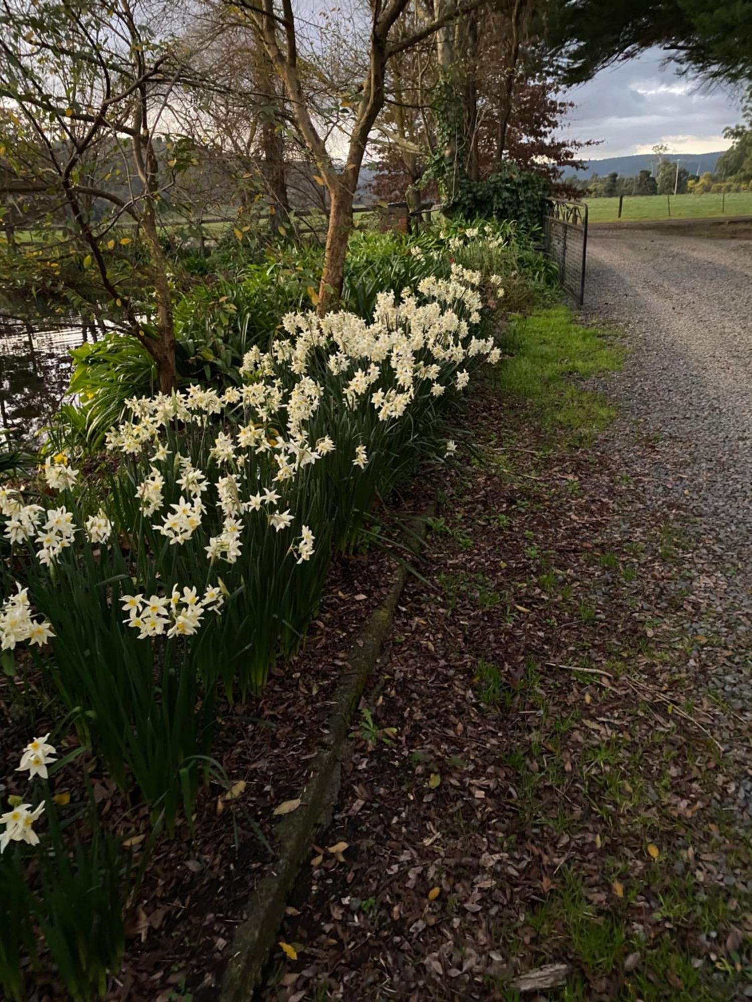 Holly Lane Mews Yarra Glen Exterior foto
