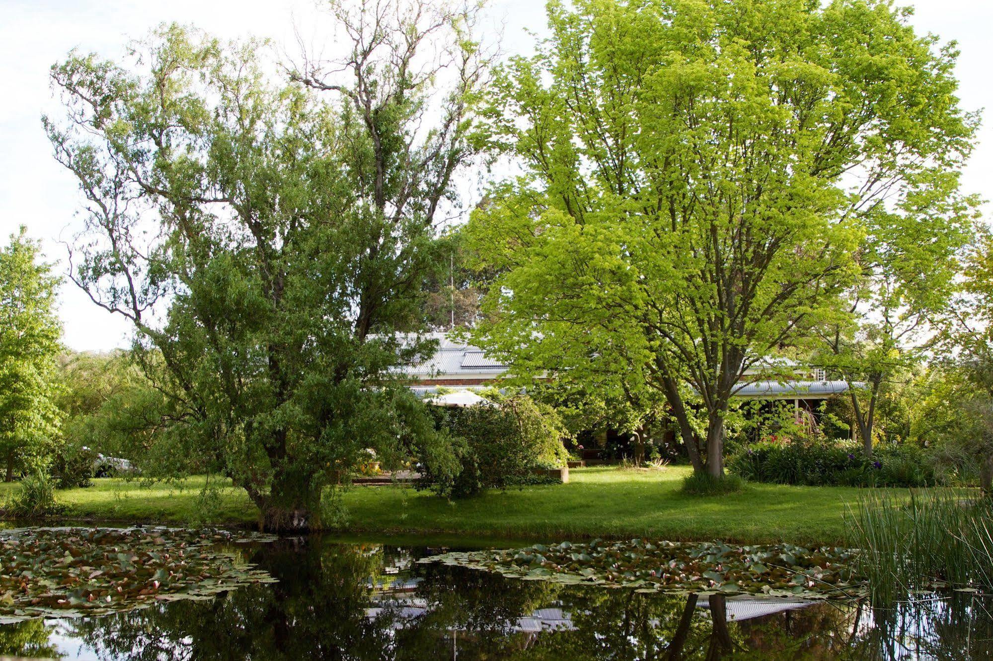 Holly Lane Mews Yarra Glen Exterior foto