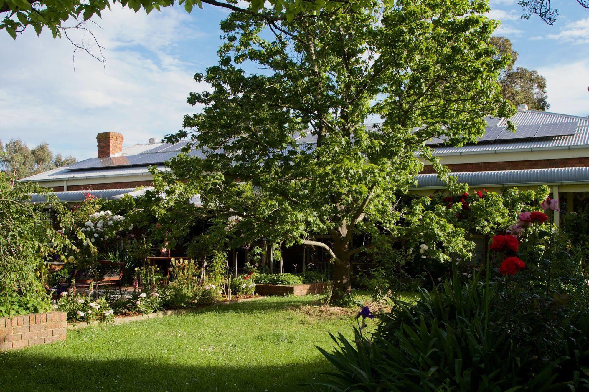 Holly Lane Mews Yarra Glen Exterior foto